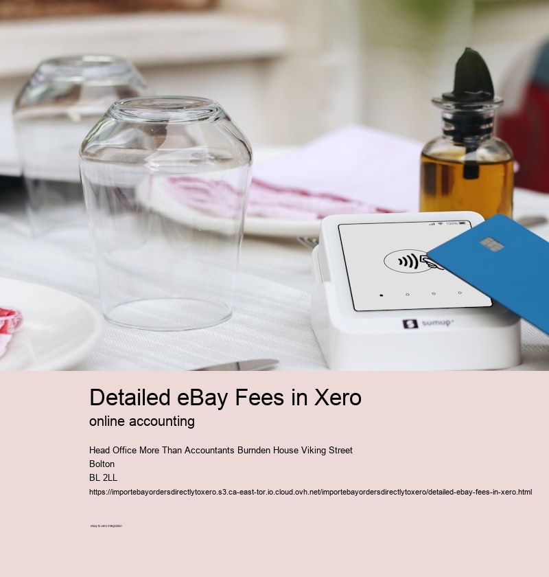 Detailed eBay Fees in Xero