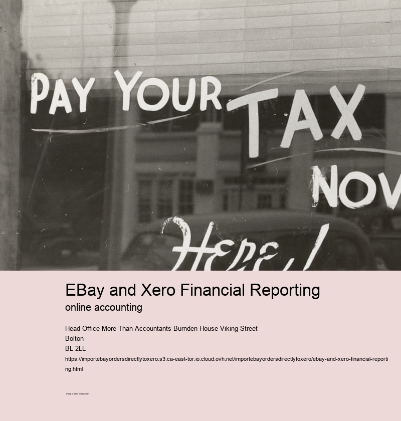 eBay and Xero Financial Reporting