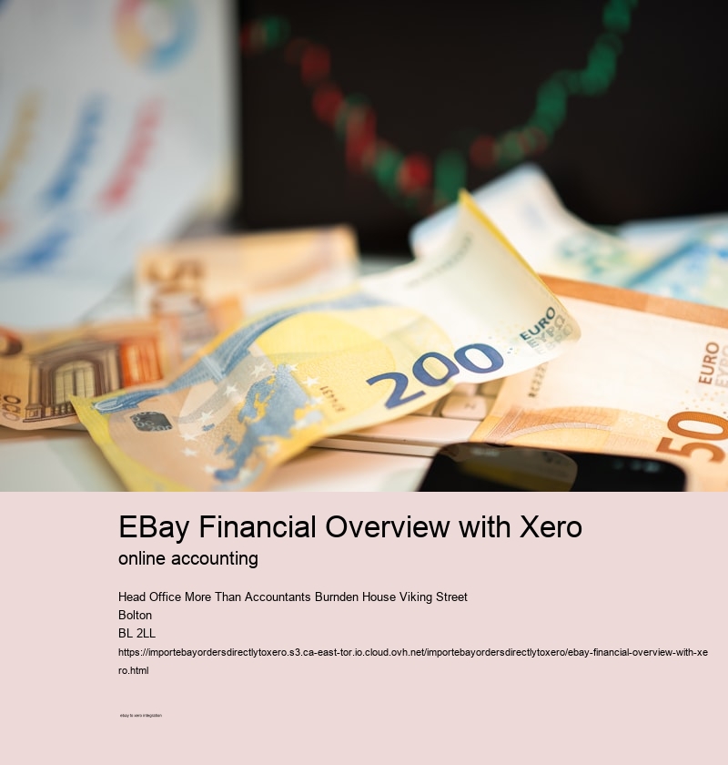 eBay Financial Overview with Xero