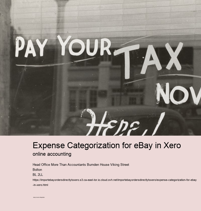 Expense Categorization for eBay in Xero